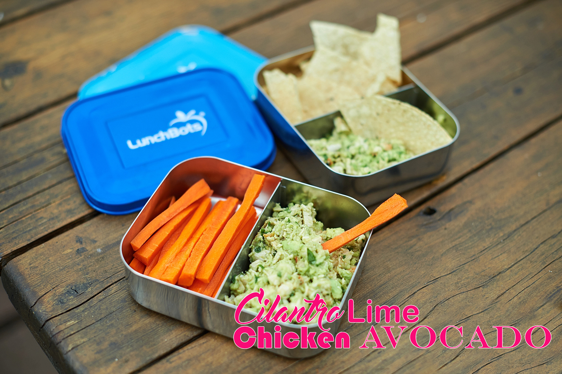 Cilantro Chicken Avocado Dip Allergen Free Recipe Our1Chance